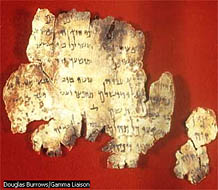 The Dead Sea scrolls